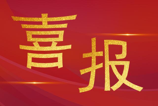 祝賀我司技術(shù)服務部工程師們榮獲“電力運檢之星“